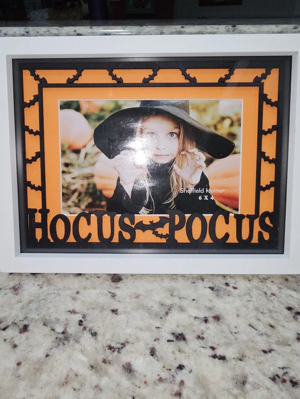 Hocus Pocus 4×6 Picture Frame Hang Or Tabletop Halloween